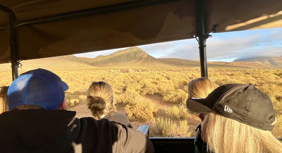 Kruger NP Zuid Afrika groepsrondreis 2
